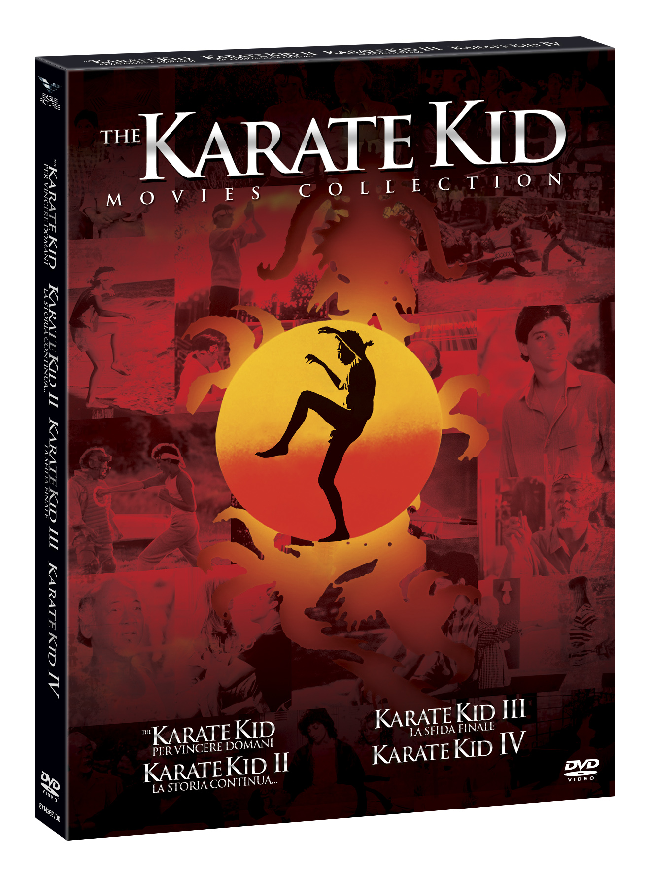 The Karate Kid Movies Collection (4 DVD)